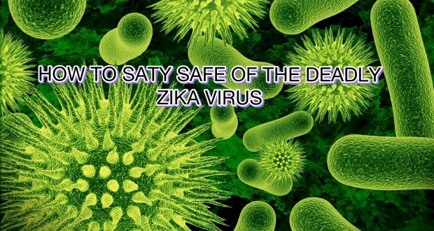 HOW TO STAY SAFE FROM THE DEADLY ZIKA VIRUS…..