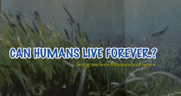 CAN HUMANS LIVE FOREVER?