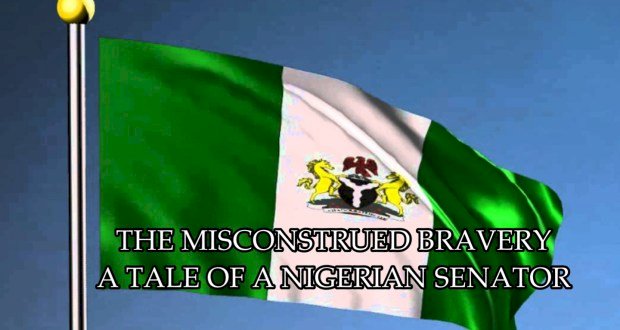 THE MISCONSTRUED BRAVERY: A TALE OF A NIGERIAN SENATOR