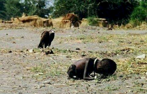 THE VULTURE IS A PATIENT BIRD,  A POWERFUL PICTURE CAN CHANGE THE WORLD
