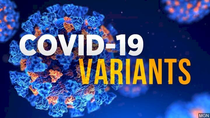 COVID-19 VARIANTS RAMPAGE SHATTERED VACCINATION HOPES AND EXPECTATIONS