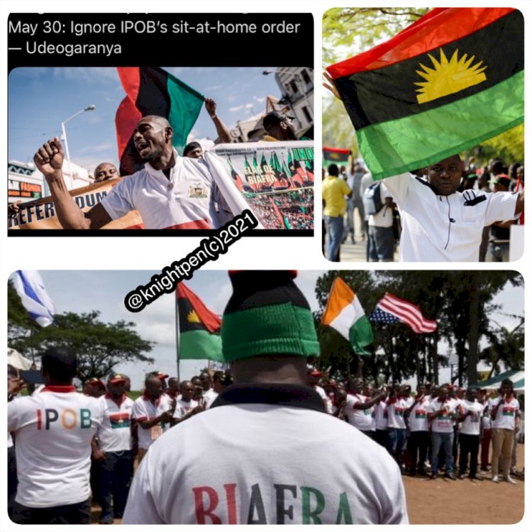REACTIONS ON THE IPOB SIT AT HOME ORDER IN HONOR OF THE FALLEN HEROES